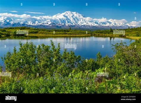 View Of Denali And Reflection Pond Taken From The Park Road While