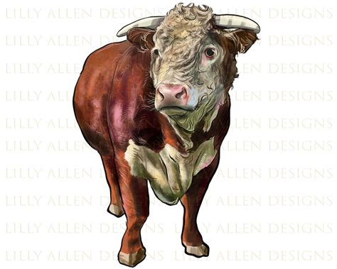 Hereford Bull Face Png Western Hereford Bull Png Bull Png Cattle Png