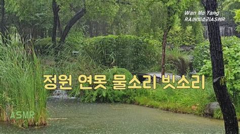 정원 연못에 내리는 조용한 빗소리와 물소리에 편안한 시간 Gentle Rain And Water Sound In The