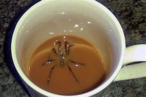 16 Photos That Will Determine Once And For All If You're Afraid Of Spiders