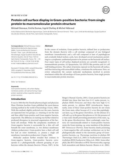 PDF Protein Cell Surface Display In Gram Positive Bacteria From