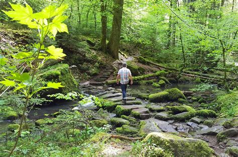 Ausflüge in Baden Württemberg 15 Wanderungen für warme Tage Baden