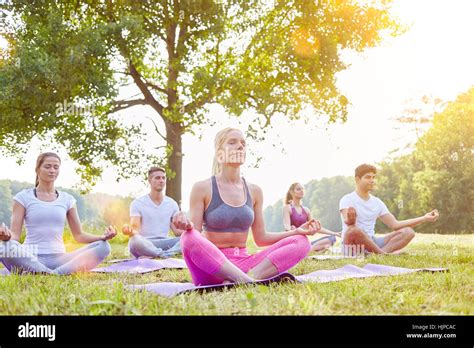 People Meditating In Nature