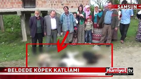 SAMSUN DA KÖPEK KATLİAMI Dailymotion Video