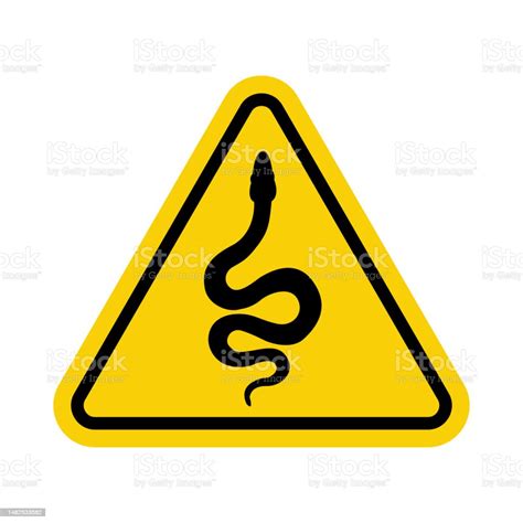 Sign Snake Snake Warning Sign Danger Snake Sign Yellow Triangle Sign