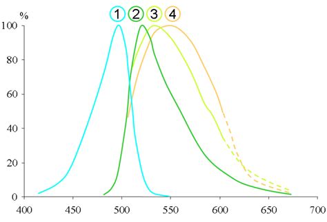 SYBR Green I - Définition et Explications