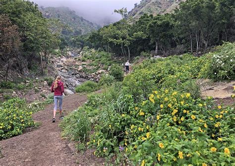 two people walking down a dirt path in the mountains with wildflowers ...