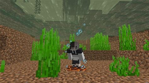 Come Trattenere Il Respiro Sott Acqua In Minecraft