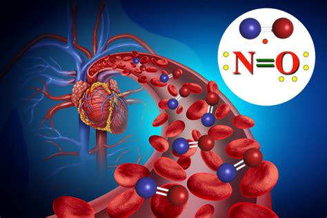 The Physiology Of Nitric Oxide Dr Louis Ignarro