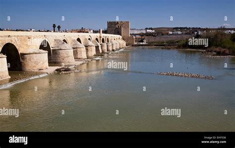 Roman Bridge, Cordoba Stock Photo - Alamy