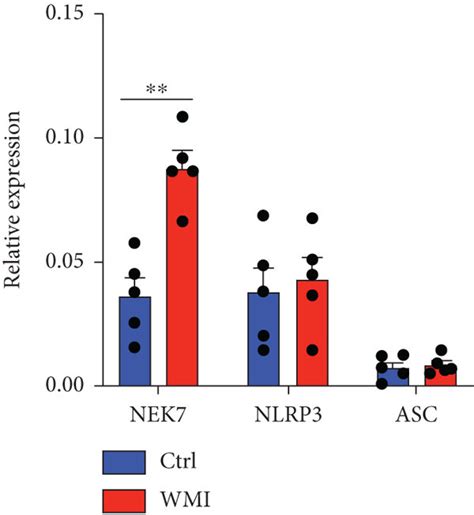 MiR 214 3p Binds To NEK7 To Mediate Caspase 1 Inflammasome Activation