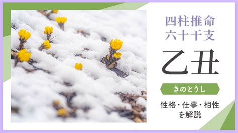 四柱推命【丙辰 ひのえたつ 】の特徴｜性格・恋愛・相性を解説｜優しい四柱推命