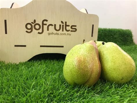 Forelle Red Pear, 4 pcs – GoFruits – Online Premium Fruit Malaysia