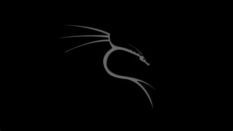 White Dragon Logo Linux Kali Linux Nethunter Photoshop Black Background