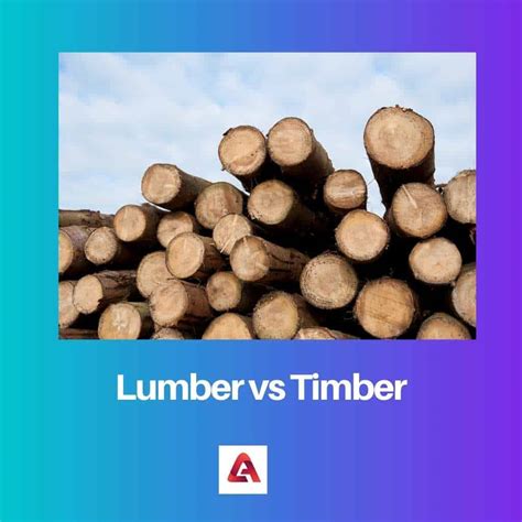 Lumber vs Timber: Difference and Comparison