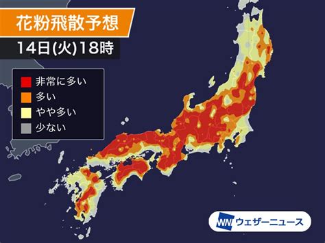 広範囲で雨上がりの晴天 今日は花粉大量飛散のおそれ ウェザーニュース