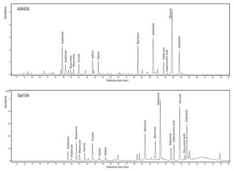 Partial 13 To 40 Min Extracted Ion Chromatograms Mz 204 And 217 For Download Scientific