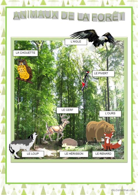 Affiches Animaux de la forêt dicti Français FLE fiches pedagogiques