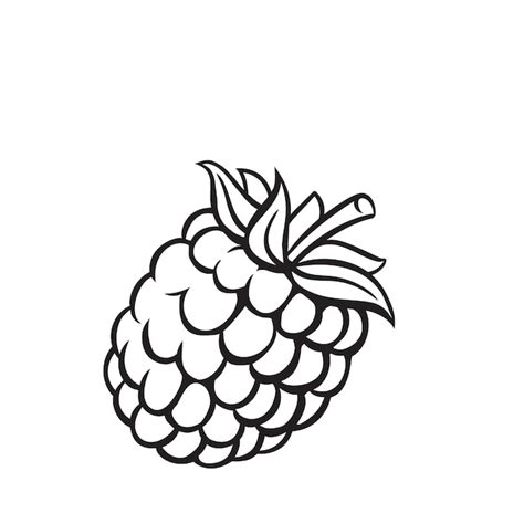 Icono De Contorno De Baya De Fruta De Frambuesa Dibujo Monocromo