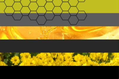 Bee Based Trans Enby And Gay Rainbow Flags Tumbex