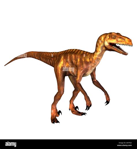 The Deinonychus Occurred Also Terrible Claw Geannt In The Lower