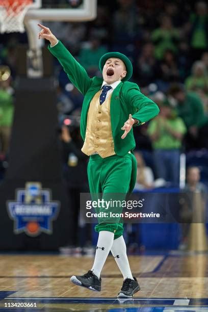 Notre Dame Mascot Photos and Premium High Res Pictures - Getty Images