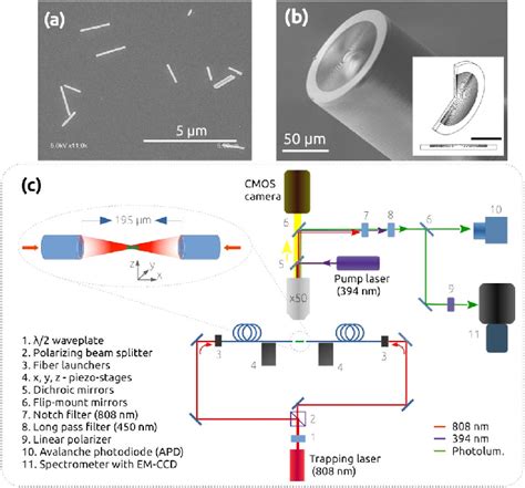 A SEM Image Of NaYF 4 Eu 3 Nanorods B SEM Image And CAD Drawing