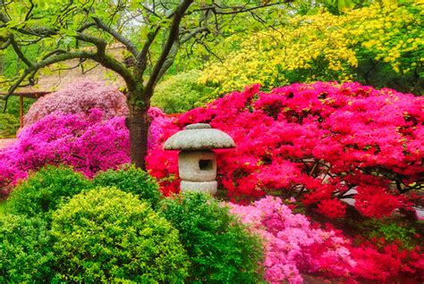 Stone Lantern Jigsaw Puzzle