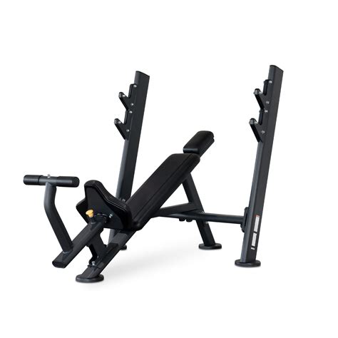 Reeplex Commercial Incline Bench Press Rival Series Dynamo Fitness