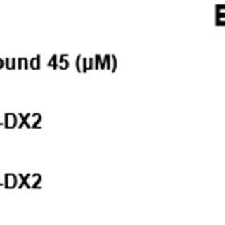 Compound Mediated Induction Of Interaction Between Siah And