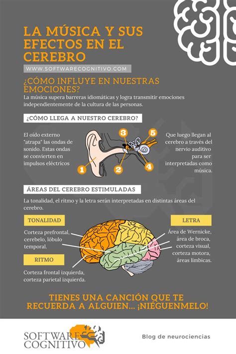 La M Sica Y Sus Efectos En El Cerebro Neurociencia Y Educacion