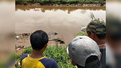 Dikira Boneka Ternyata Ada Mayat Di Tepi Sungai Citarum Rancamanyar