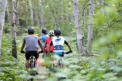 Comment Le V Lo De Montagne Et Le Fatbike Sont Devenus Les Meilleurs