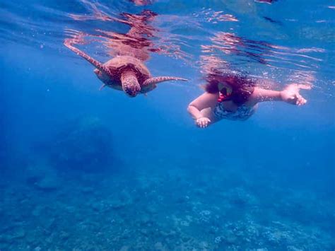 De Kihei Cratera Molokini E Mergulho Snorkel Em Turtle Town