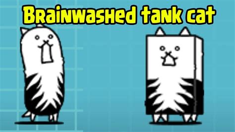 The Battle Cats A New Tank Appears Brainwashed Tank Cat Youtube