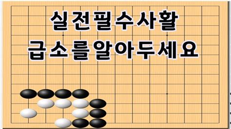 바둑사활 실전필수사활입니다 급소한방 Youtube