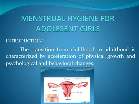 Ppt Menstrual Hygiene For Adolesent Girls Powerpoint Presentation Id590794