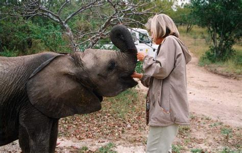 Images of Jabulani - Kapama Private Game Reserve