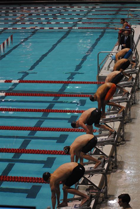 Mens Swimming And Diving Dominates Remains Undefeated Sports The