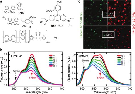 Spn Based Activatable Probes For Fluorescence Sensing Of Temperature