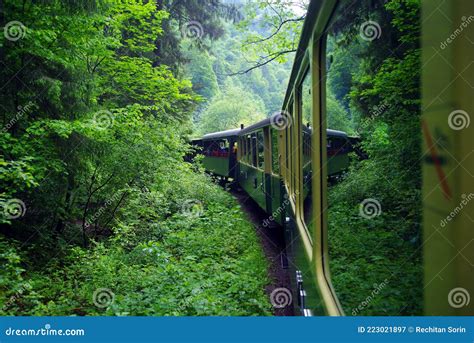 Mocanita Touristic Train The Last Forestry Steam Working Train In