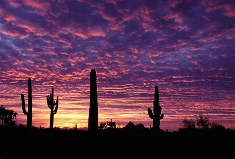 Arizona Sunset Photos Diagrams And Topos Summitpost