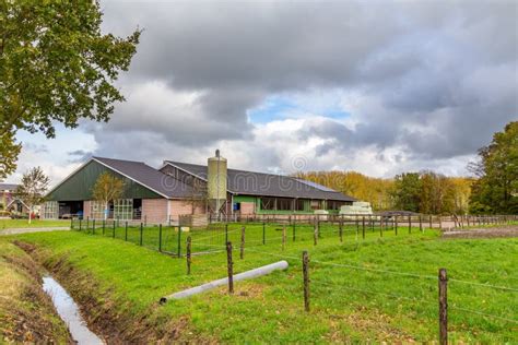 Modern Open Dutch Farm Stock Photo Image Of Environment 163887046