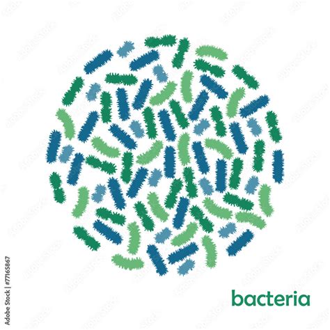 bacteria vector stock vector adobe stock
