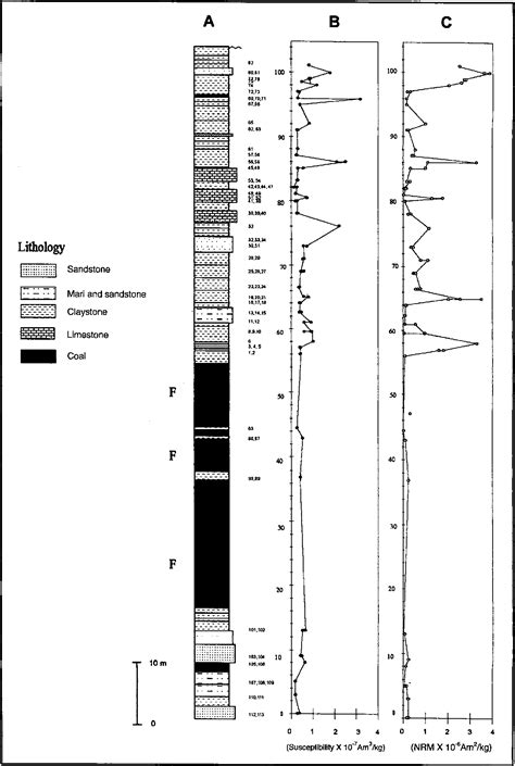 Figure From Paleontology And Magnetostratigraphy Of The Eocene Krabi