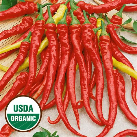 Everwilde Farms 20 Organic Sweet Cayenne Hot Pepper Seeds Gold Vault Jumbo Bulk Seed Packet