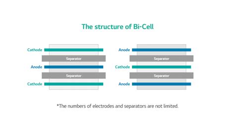 Battery Glossary Bi Cell Battery Lab