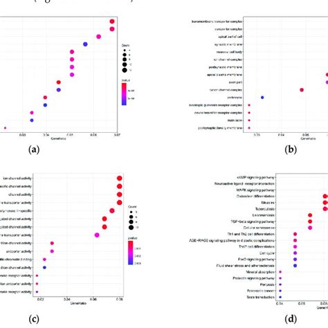 Functional Enrichment Analysis Of Target Genes A Bp B Cc C Mf