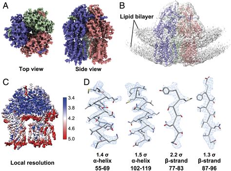 Cryo EM Analysis Of A Membrane Protein Embedded In The Liposome PNAS