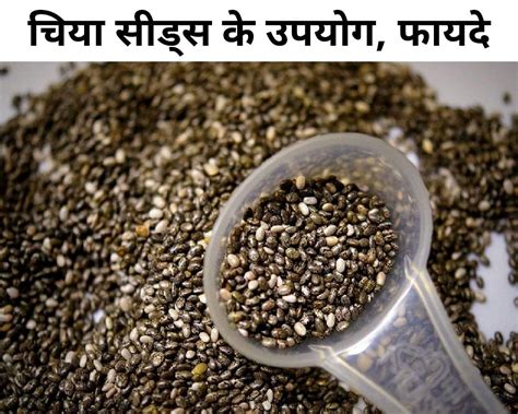 चिया सीड्स के 6 उपयोग 7 फायदे Uses And Benefits Of Chia Seeds In Hindi